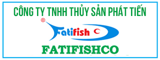 Phát Tiến (6/6/2025)