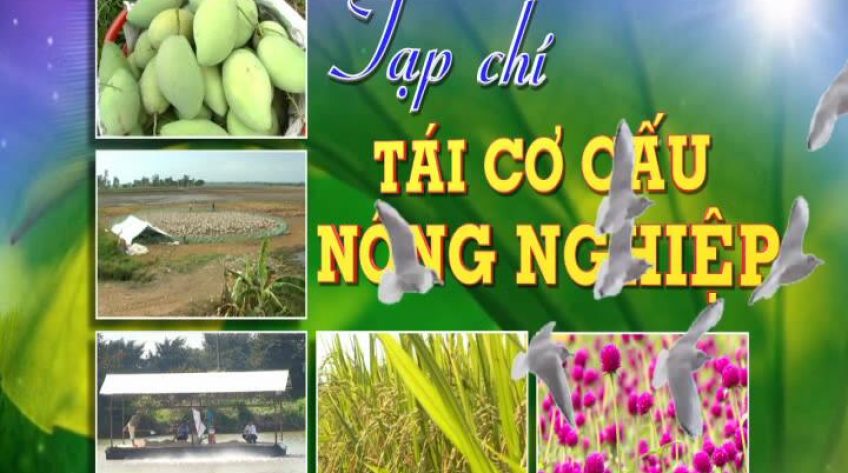 Tái cơ cấu nông nghiệp - 03/03/2019