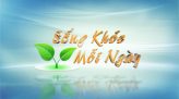 Sống khỏe - 02/01/2022: Công dụng và cách dùng hữu ích cho sức khỏe của cây sả