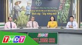 Tư vấn pháp luật - 17/9/2019 - Chung tay phát triển BHYT học sinh, sinh viên