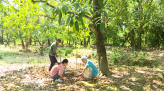 Doanh nghiệp phát huy nội lực, tăng lợi thế cạnh tranh trong tình hình mới