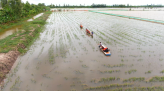 Tập trung kiểm tra, gia cố đê phòng tránh nước gây ngập