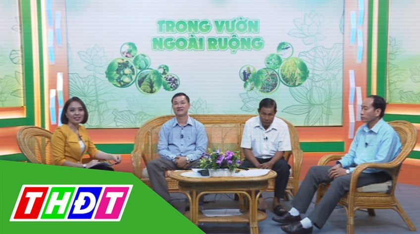 Trong vườn ngoài ruộng - 09/03/2020: Tìm giải pháp ứng phó hạn mặn tại Đồng Tháp