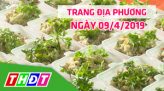 Trang địa phương - Thứ Sáu, 12/4/2019 - H.Lấp Vò