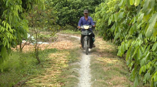 Con đường cho ngày khởi công