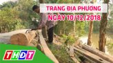Trang địa phương - Thứ Ba, 11/12/2018 - H.Hồng Ngự