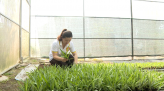 Doanh nghiệp phát huy nội lực, tăng lợi thế cạnh tranh trong tình hình mới