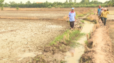 Doanh nghiệp phát huy nội lực, tăng lợi thế cạnh tranh trong tình hình mới