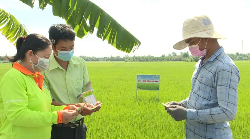 Cánh đồng hội nhập - 19/06/2021: Toara tối đa năng suất trên cánh đồng hội nhập