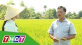 Khởi nghiệp - 18/6/2021: Nông trại Ông 6 Lới