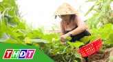 Thắp sáng ước mơ - 14/5/2021: Em Đỗ Thị Kim Ngân (H.Châu Thành)