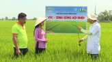 Cánh đồng hội nhập - 19/06/2021: Toara tối đa năng suất trên cánh đồng hội nhập