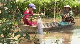 Thắp sáng ước mơ - 13/11/2020: Em Nguyễn Thị Diễm Kiều