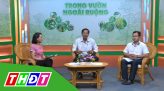 Trong vườn ngoài ruộng - 09/03/2020: Tìm giải pháp ứng phó hạn mặn tại Đồng Tháp