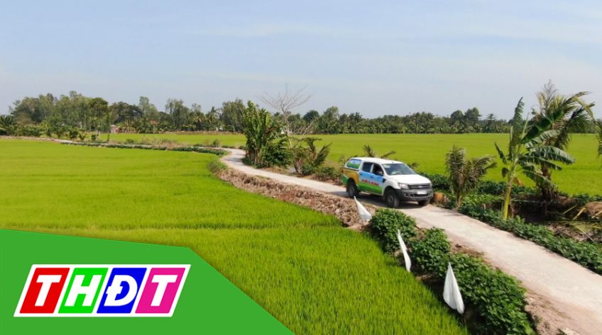 Cánh đồng hội nhập - 30/01/2021