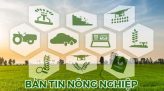 Nông nghiệp - nông thôn – 22/01/2025