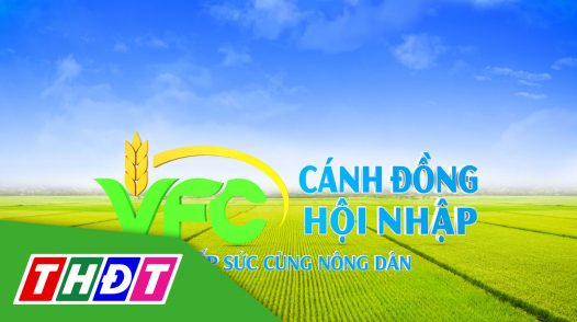 Cánh đồng hội nhập - 25/01/2025: Giải pháp khắc phục hiện tượng vàng lá lúa do thời tiết