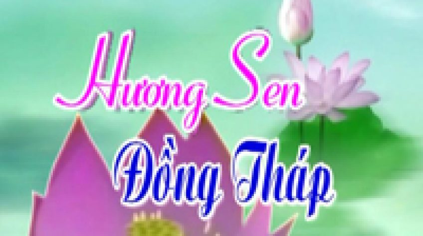 Hương sen Đồng Tháp - 05/6/2020