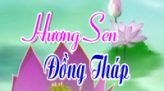 Hương sen Đồng Tháp - 30/8/2019