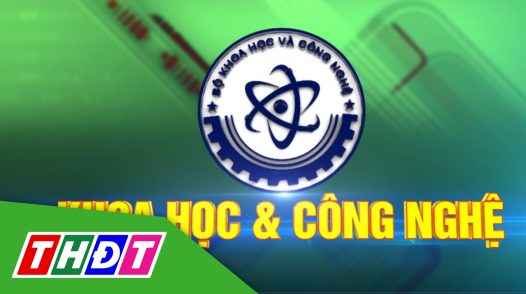 Khoa học và công nghệ - 17/01/2025: Đảm bảo an toàn, chất lượng hàng hóa thiết yếu dịp tết