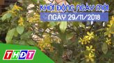 Nhịp sống 24H - Thứ Năm, 29/11/2018