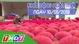 Thời sự tối - Thứ Sáu, 11/01/2019
