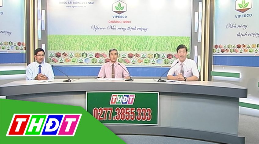 Tư vấn khuyến nông : Phòng trừ bệnh hại lúa hè thu - 08/5/2019