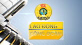 Lao động & Công đoàn - 22/10/2022: Phong trào bóng chuyền hơi tỉnh Đồng Tháp