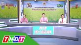 Tư vấn pháp luật - 17/9/2019 - Chung tay phát triển BHYT học sinh, sinh viên