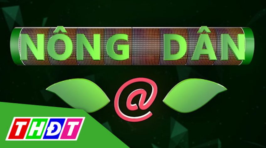 Nông dân @ - 08/4/2022: Cánh đồng lớn của người nông dân vùng sâu Tam Nông