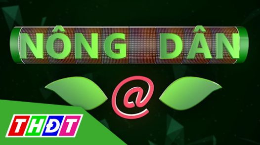 Nông dân @ - 12/8/2022: Nông dân thử thách với cây trồng mới