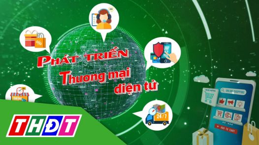 Phát triển thương mại điện tử - 03/02/2025: Thương mại điện tử 