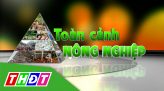 Tạp chí xe và cuộc sống - 08/02/2025: Nỗi lo ngại của tài xế vào mùa nắng nóng