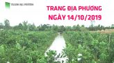 Trang tin địa phương - Thứ tư, 23/10/2019 - Huyện Lai Vung