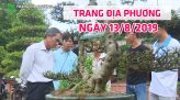 Trang địa phương - 19/8/2019 - Huyện Tháp Mười