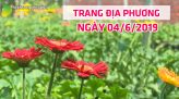 Trang tin địa phương - Thứ Sáu, 07/6/2019 - Huyện Lấp Vò