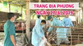 Trang tin địa phương - Thứ Tư, 03/7/2019 - Huyện Lai Vung