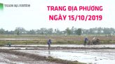 Trang tin địa phương - Thứ tư, 23/10/2019 - Huyện Lai Vung