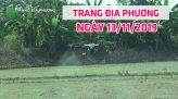 Trang địa phương - Thứ Sáu, 22/11/2019 - Huyện Lấp Vò