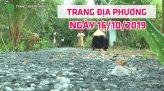 Trang tin địa phương - Thứ tư, 23/10/2019 - Huyện Lai Vung