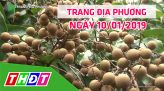 Trang địa phương - 12/01/2019 - H.Tân Hồng