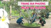 Trang tin địa phương - Thứ tư, 23/10/2019 - Huyện Lai Vung