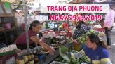 Trang tin địa phương - 30/8/2019 - Huyện Lấp Vò