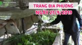 Trang địa phương - Thứ Hai, 30/9/2019 - H.Tháp Mười