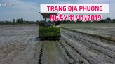 Trang tin địa phương - Thứ tư, 13/11/2019 - Huyện Cao Lãnh