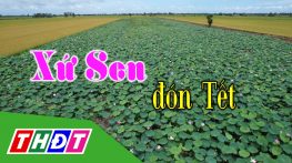 Xứ sen đón Tết – 02/02/2025 - Tập 5: Du hí xứ quýt hồng