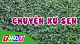 Chuyện xứ sen - Tập 9: Bán hàng online