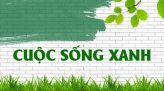 Cuộc sống xanh - 30/12/2021