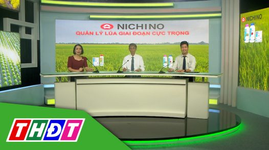 Tư vấn Khuyến nông - 23/12/2024 - Quản lý lúa giai đoạn cực trọng