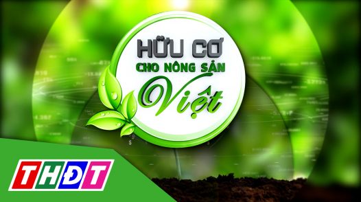 Hữu cơ cho nông sản Việt - 21/02/2025: Niềm vui trúng mùa nhờ ứng dụng phân hữu cơ Humic BIO trên cây lúa